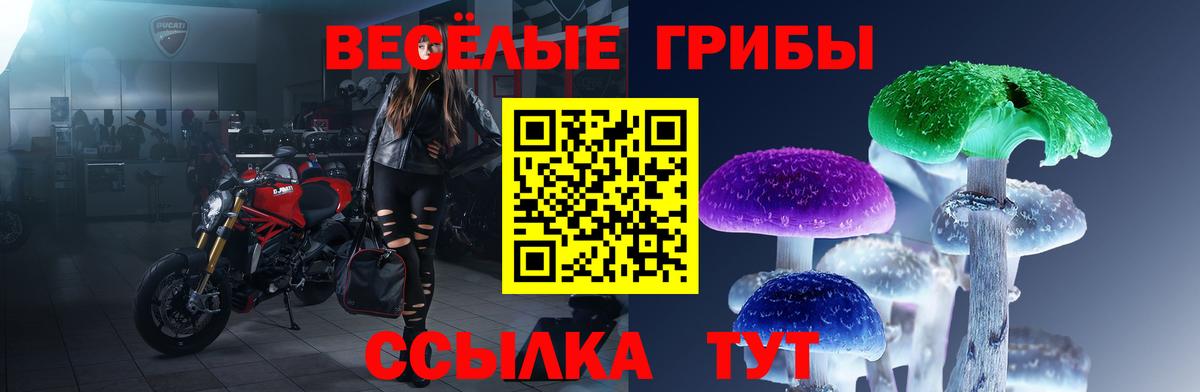 Камень-на-Оби  Псилоцибиновые грибы мицелий  купить наркотики цена  Вход с VPN 