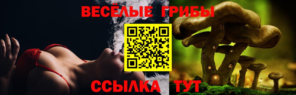Конопля  Гашиш  ЭКСТАЗИ  Меф   Камень-на-Оби  COCAIN  COCAIN  Вход с VPN 